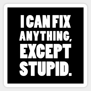 I can fix anything, except stupid. Magnet